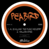 Chart track